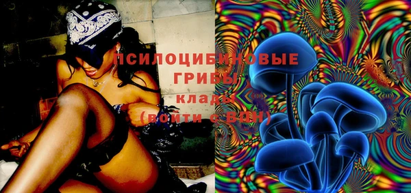 трава Краснослободск