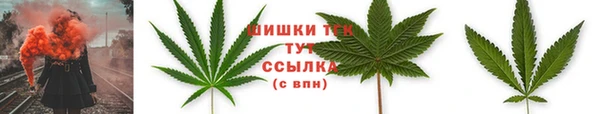 трава Краснослободск