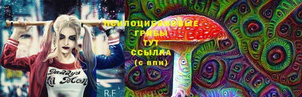 мяу мяу мука Куйбышев