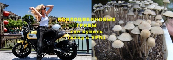 молекула духа Краснотурьинск