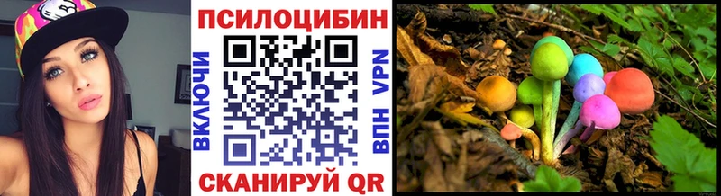 Галлюциногенные грибы Psilocybine cubensis  Михайловка 